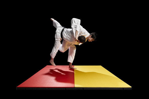 ProGame Tatami I-TIS Competition - IJF Approved 200x100x5cm